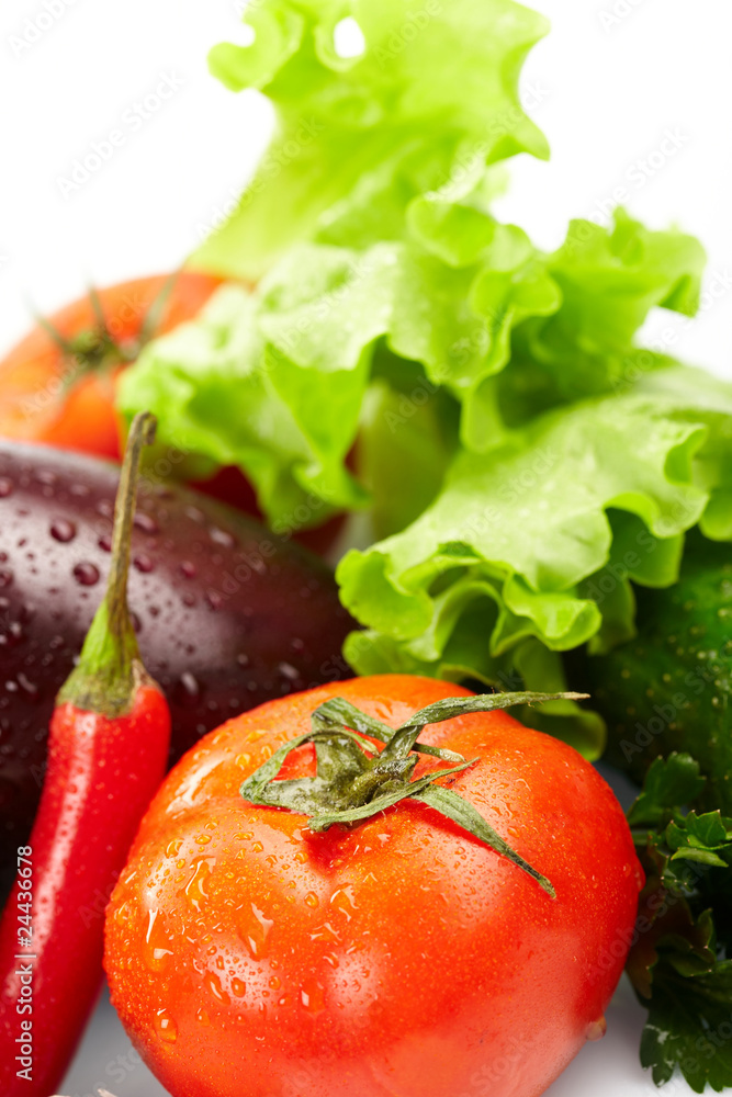 fresh vegetables on the white background fresh vegetables on the white background