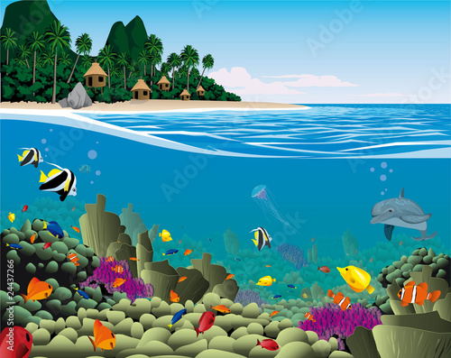 Unterwasser Landschaft mit Korallen