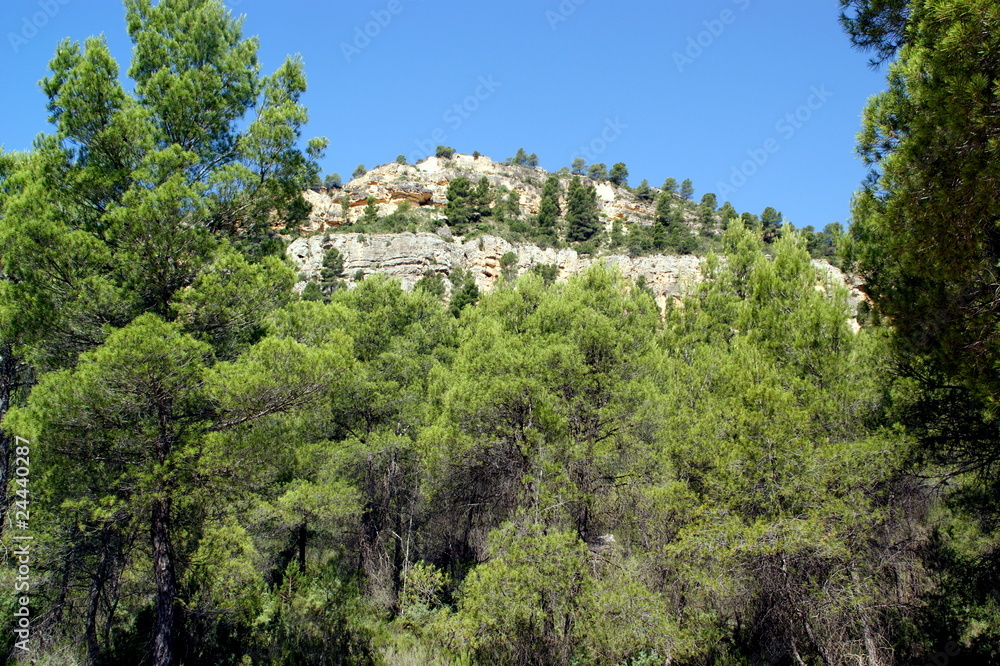 Parque Natural Hoces del Cabriel en España Parque Natural Hoces del Cabriel en España