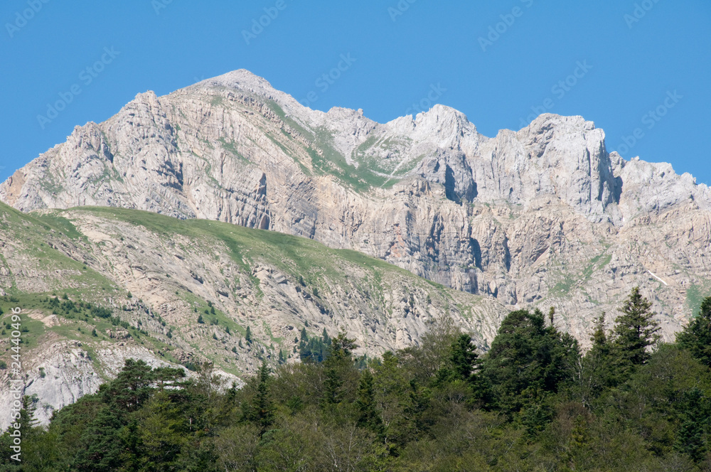 Pyrenees