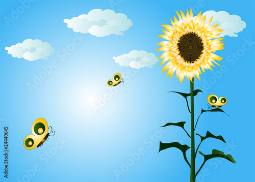 mature sunflowers in a field with butterflies