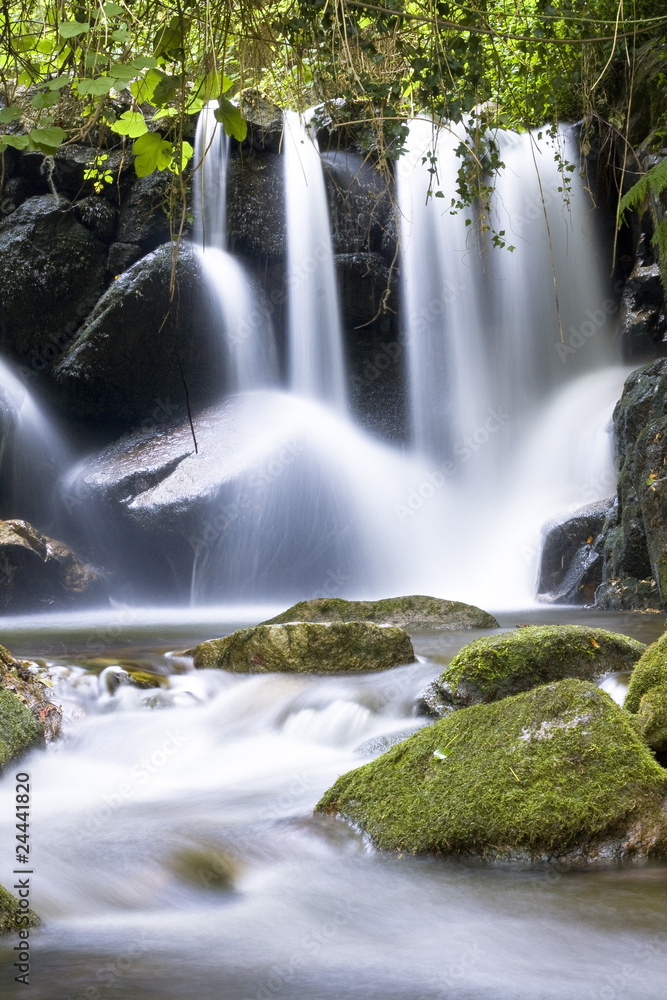 Obraz premium cascade