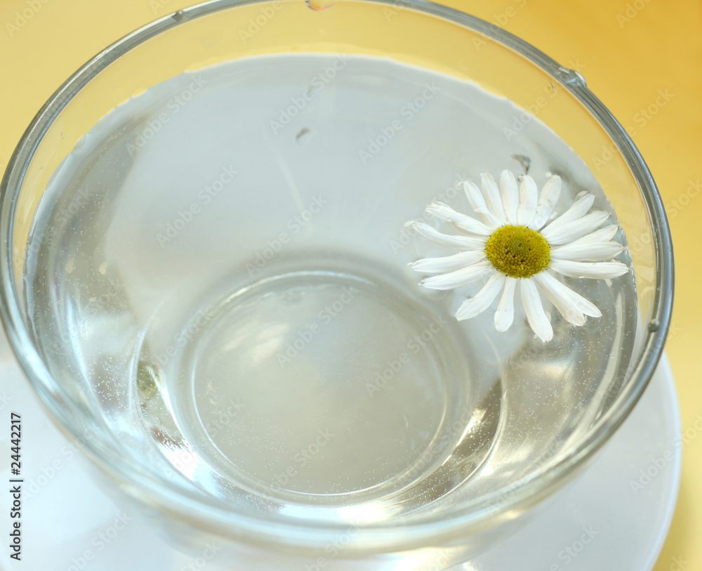 Bowl with a daisy Bowl with a daisy