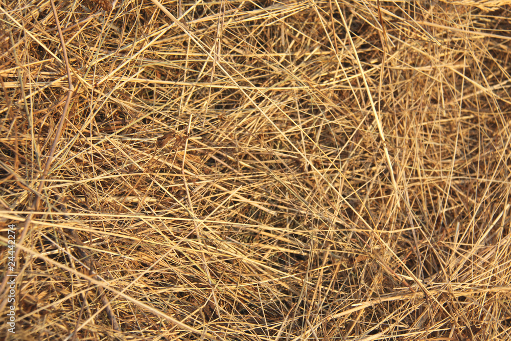 Straw background