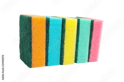 multicolored sponges