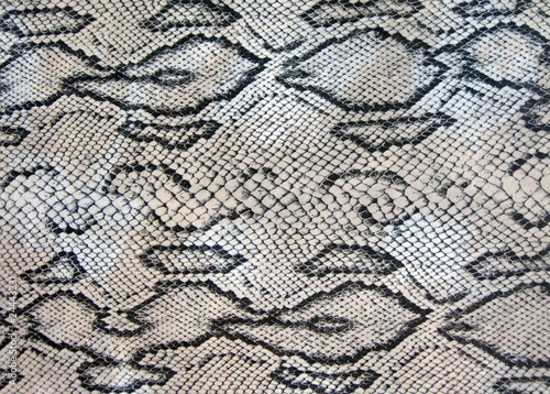 snake closeup texture, danger cobra zigzag concept, natural python leather patternt diversity