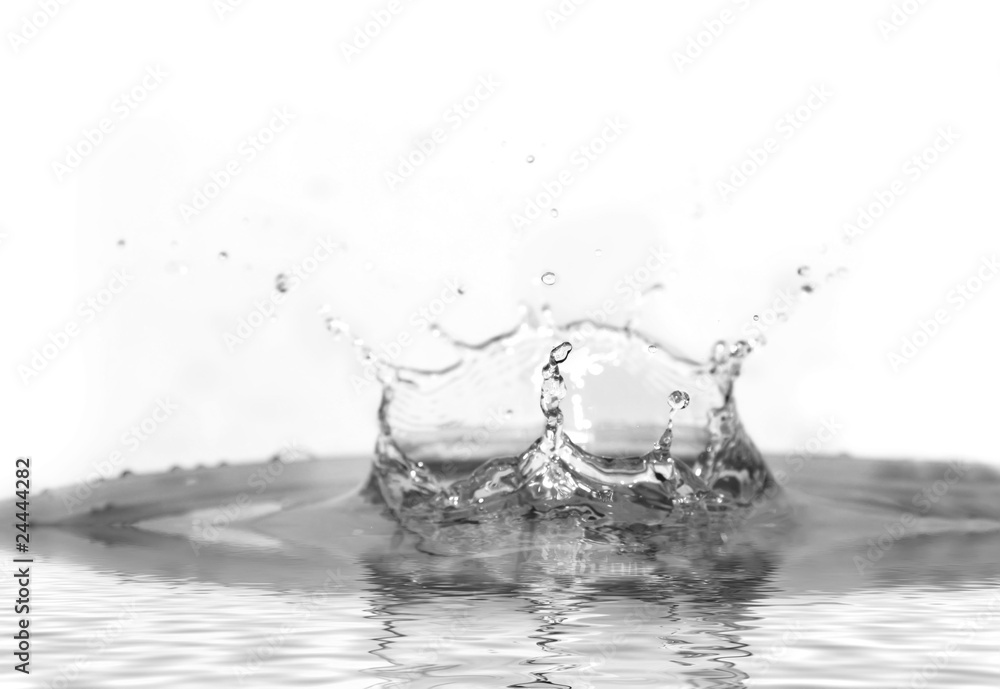 splash splash