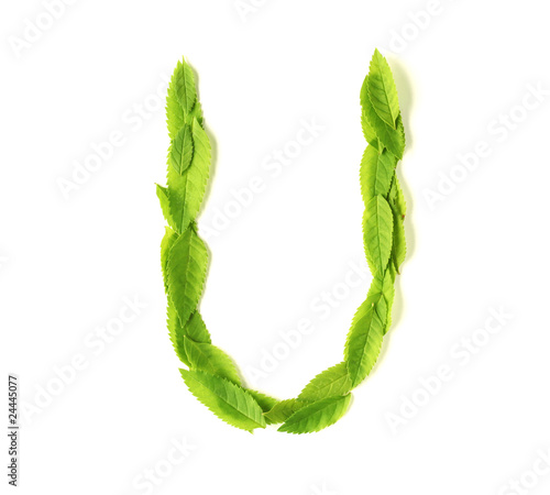 Leaf letters