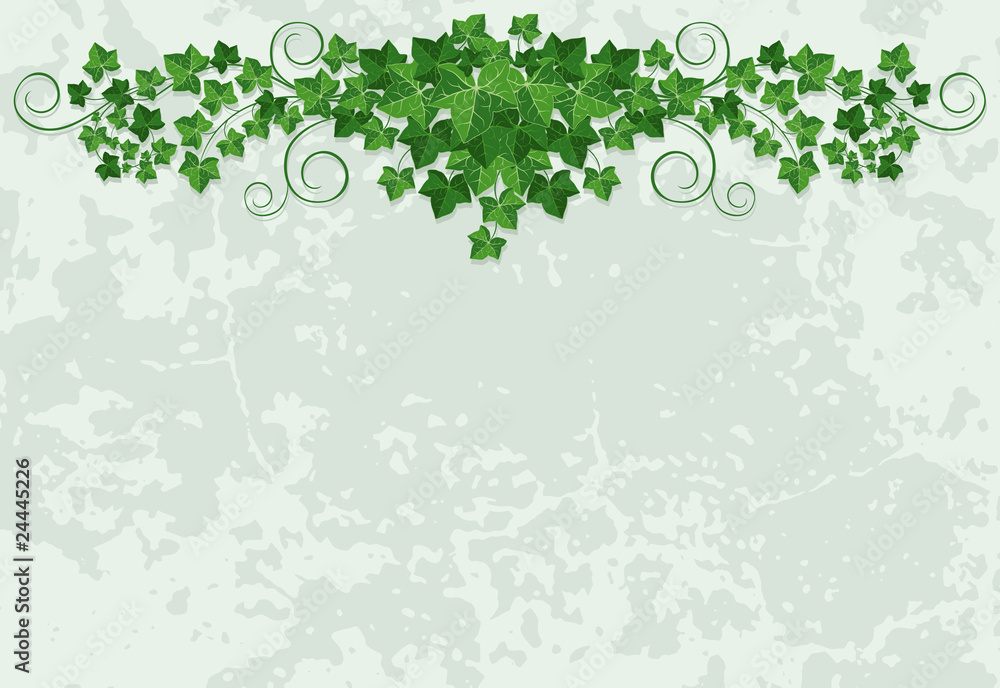 wall with ivy Stock Vector | Adobe Stock