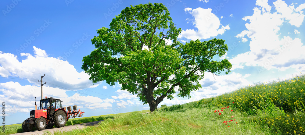 Farming tractor and big green tree Farming tractor and big green tree