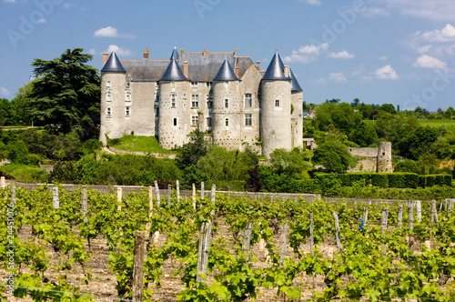 Luynes Castle with vineyard  Indre-et-Loire  Centre  France