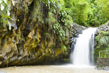 Fototapete Karibik Annadale Falls, Grenada  © Richard Semik