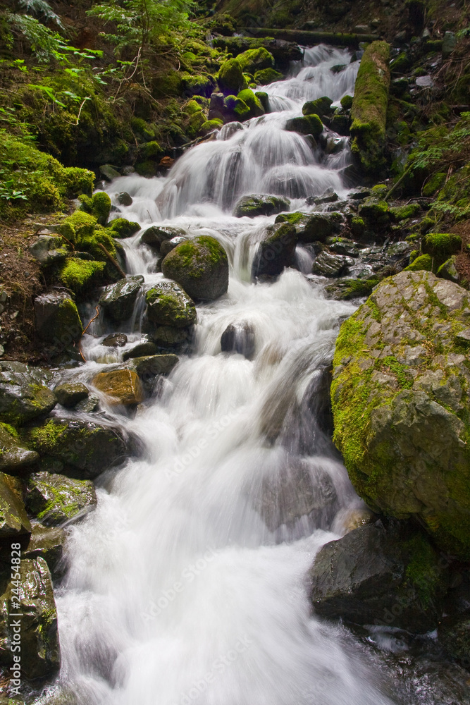 Flowing spring stream Flowing spring stream