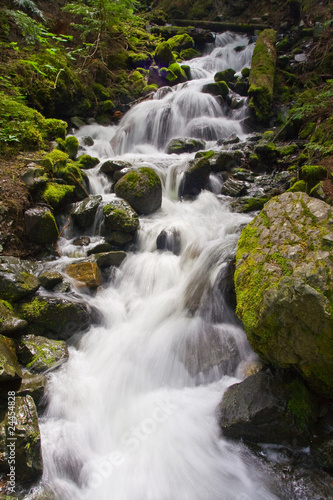 Fototapeta Naklejka Na Ścianę i Meble -  Flowing spring stream