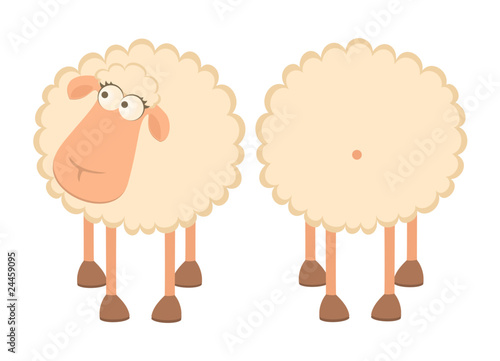 Vector illustration of two cartoon sheep