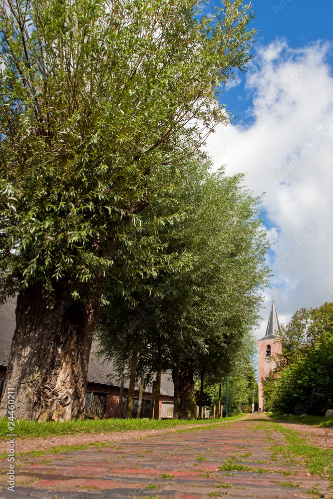 Road with willow trees and church Road with willow trees and church