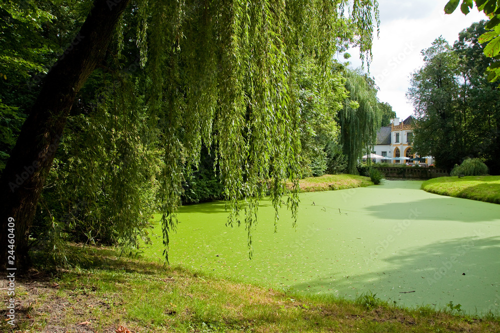 Obraz premium Old mansion with lake