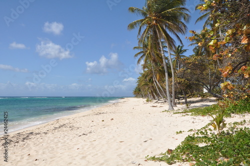 Plage de la Feuillère, Marie-Galante, Guadeloupe