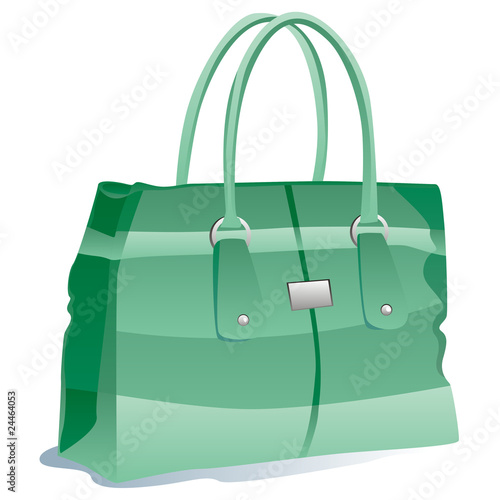 fully editable vector illustration of isolated bag