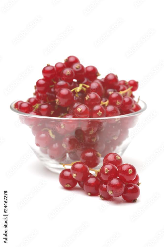 Red currant Red currant