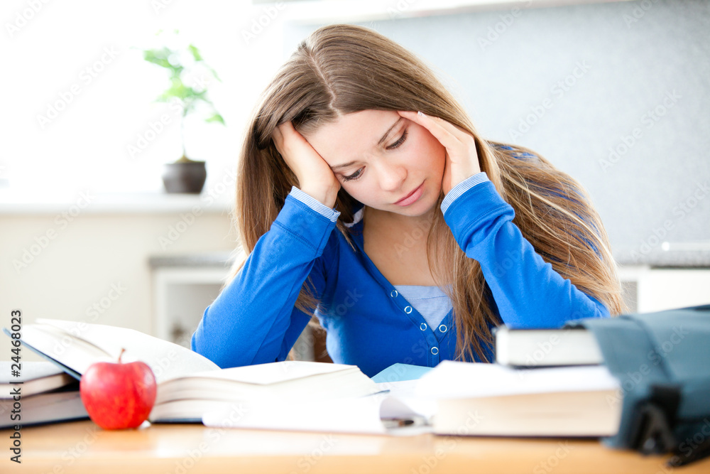 Young girl studing in living room Young girl studing in living room