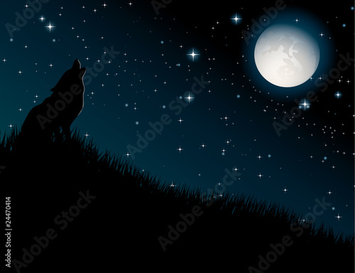 Wolf howling at the moon on night background
