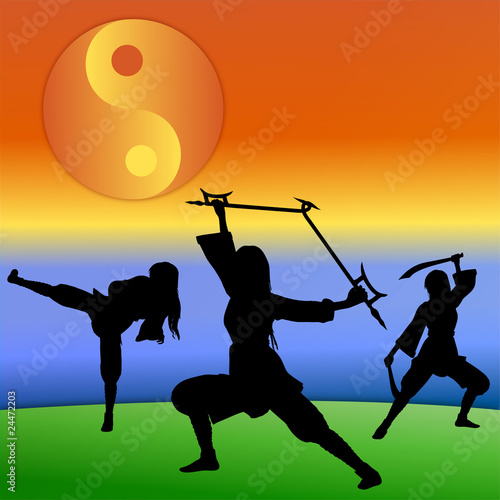 Martial Arts Silhouette