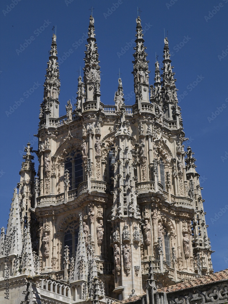 Fototapeta premium Catedral de Burgos