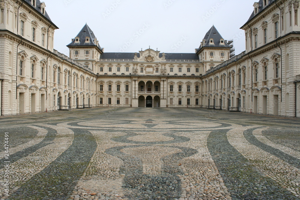 Obraz premium Valentino Castle