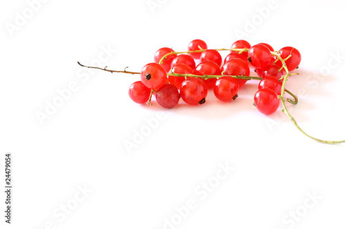 Currants