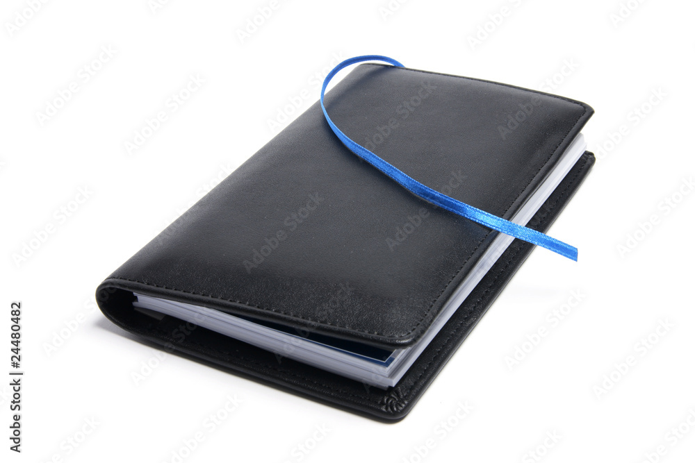 Pocket Diary Pocket Diary