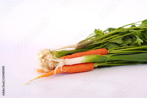 fresh young vegetables