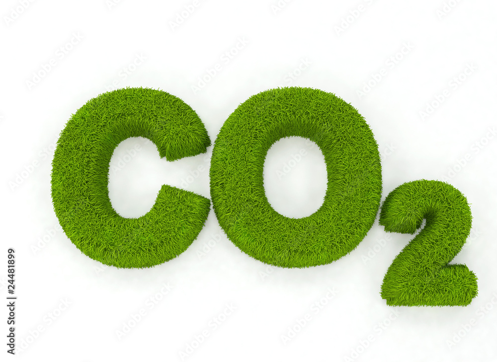 Co2 with grass effect Co2 with grass effect