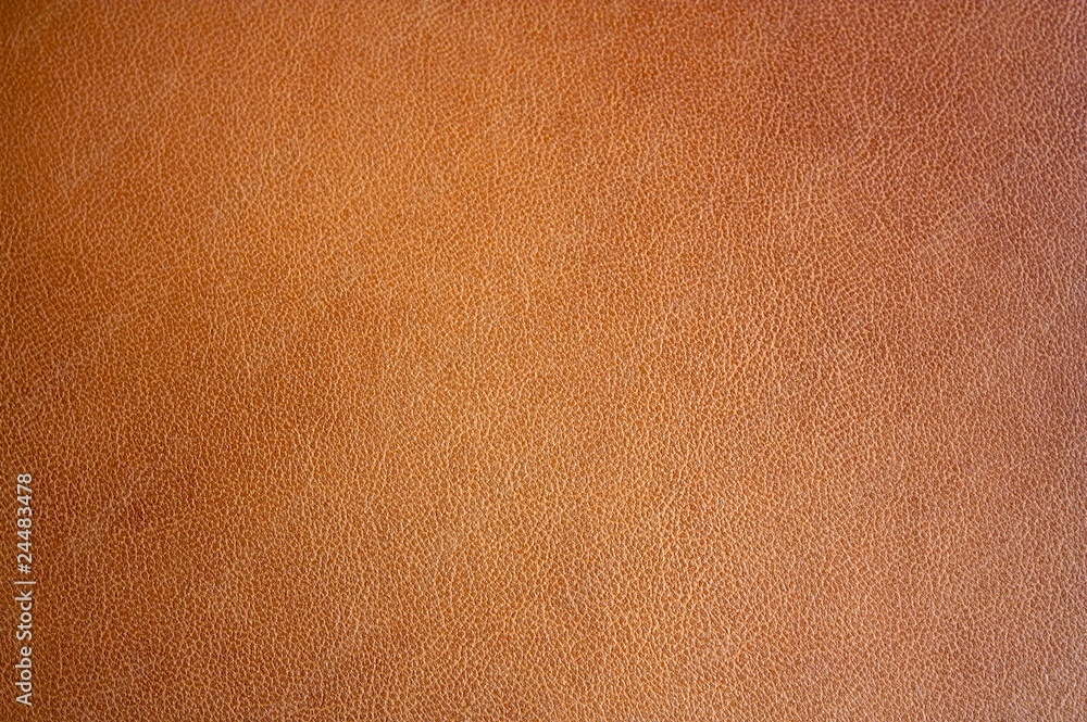 Fototapeta premium Leather texture