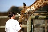 soigneuse de girafes