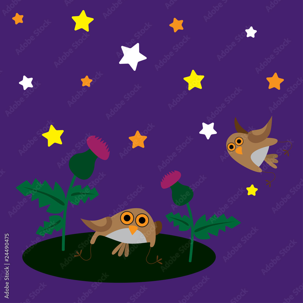 Owls and thistle Owls and thistle