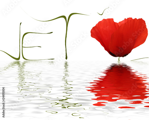 Fototapeta Naklejka Na Ścianę i Meble -  Je t'aime coquelicot - Flood