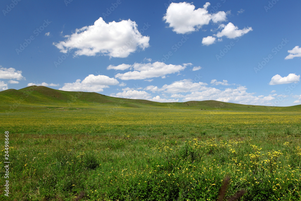 Landscape in grassland