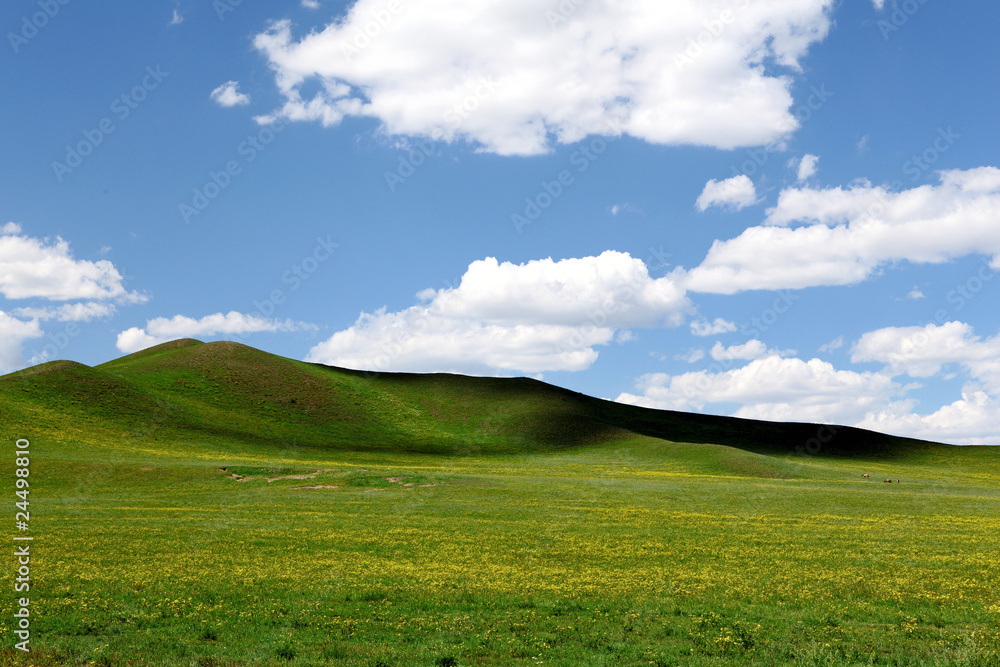 Landscape in grassland