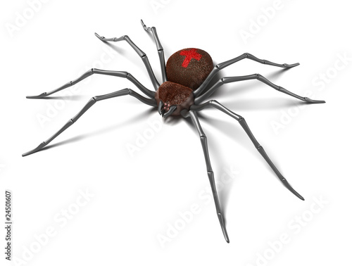 Spider : Black Widow. Isolated on white surface. 3D render.