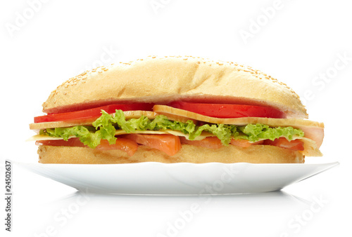 Big sandwich on white plate