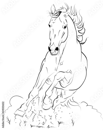 vector horse