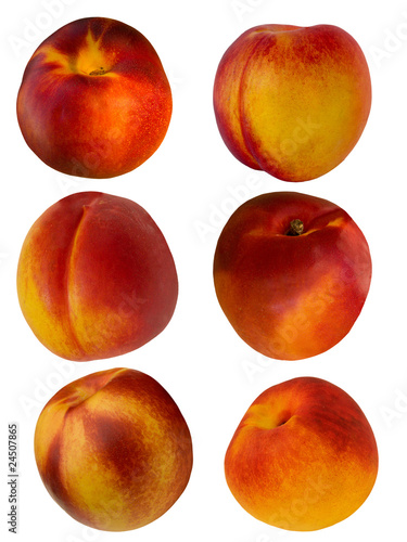Fruit hybrid peach apricot