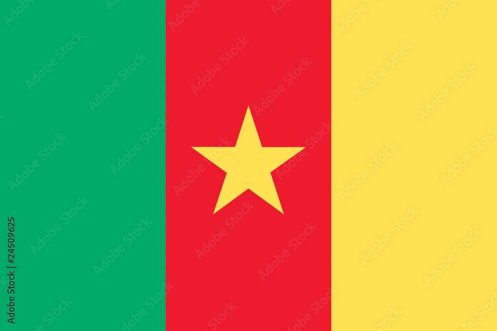Drapeau du Cameroun Drapeau du Cameroun