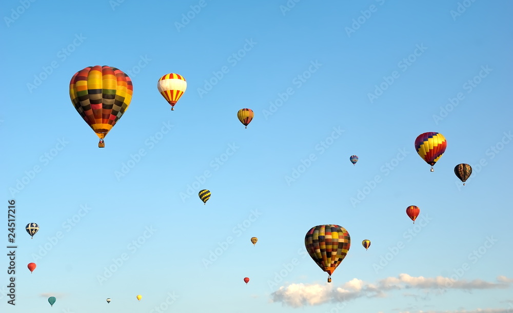 Obraz premium Hot Air Balloon Festival