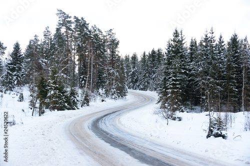 Road in winter