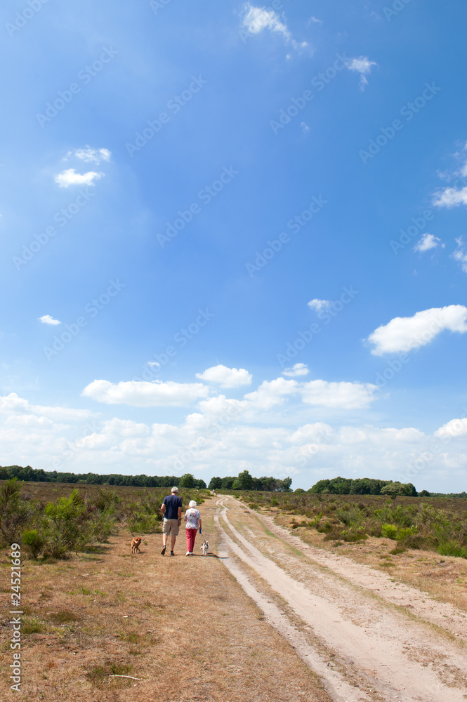 Walking the dogs