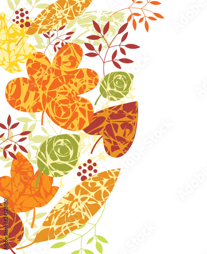 autumnal leaves