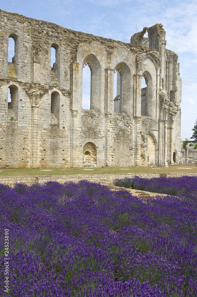 Obraz premium abbaye de maillezais en vendée