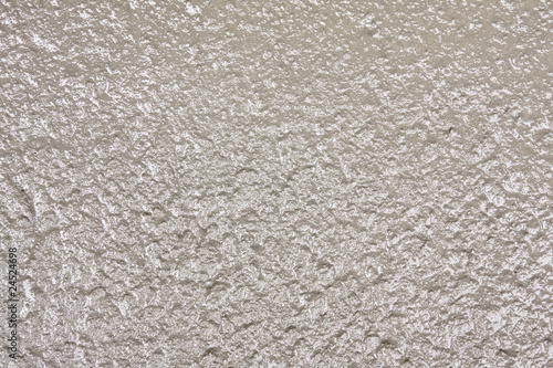 Fresh Concrete Texture